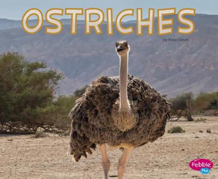 Hardcover Ostriches Book