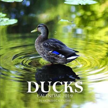 Ducks Calendar 2019: 16 Month Calendar