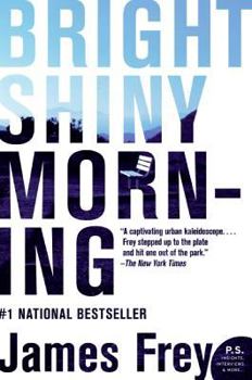 Paperback Bright Shiny Morning Book