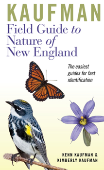 Paperback Kaufman Field Guide to Nature of New England Book