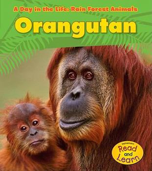 Library Binding Orangutan Book
