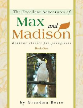 Paperback The Excellent Adventures of Max and Madison: Bedtime Stories for Youngsters Book