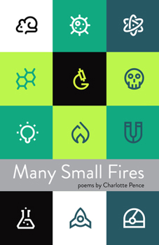 Paperback Many Small Fires Book