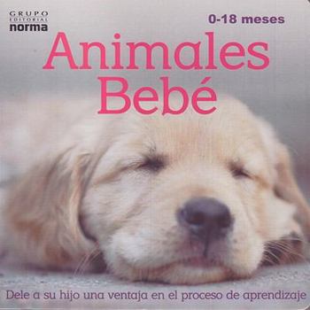 Board book Animales Bebes [Spanish] Book