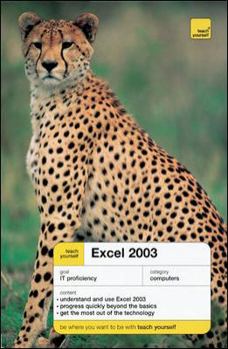 Paperback Teach Yourself Excel 2003 Book