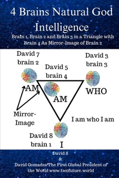 Paperback 4 Brains Natural God Intelligence: Brain 1, Brain 2 and Brain 3 in a Triangle with Brain 4 As Mirror Image Of Brain 2 Book