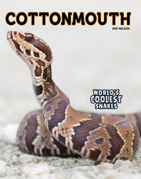 Paperback Cottonmouth Book