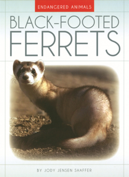 Library Binding Black-Footed Ferrets Book