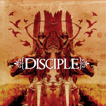 Vinyl Disciple   Champagne Book