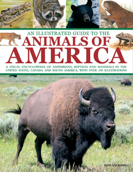 Paperback An Illustrated Guide to the Animals of America: A Visual Encyclopedia of Amphibians, Reptiles and Mammals in the United States, Canada and South Ameri Book