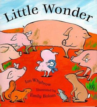 Hardcover Little Wonder Book
