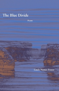 Paperback The Blue Divide Book