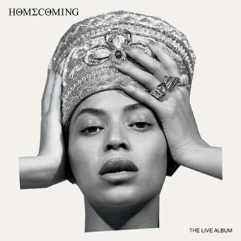 Vinyl Homecoming:Live Album Book