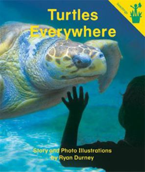 Paperback Early Reader: Turtles Everywhere Book
