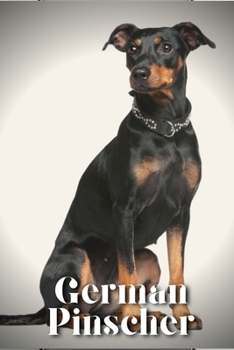 Paperback German Pinscher: Dog breed overview and guide Book