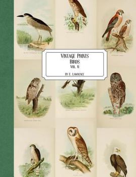 Paperback Vintage Prints: Birds: Vol. 6 Book