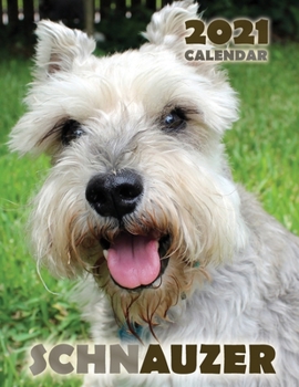 Paperback Schnauzer 2021 Calendar Book