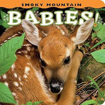 Board book Smoky Mountain Babies! Book
