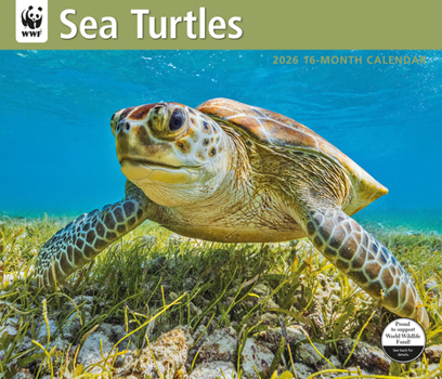 WWF Sea Turtles: 12x14 Deluxe Wall