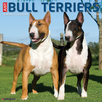 Calendar Just Bull Terriers 2023 Wall Calendar Book