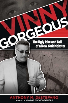 Paperback Vinny Gorgeous: The Ugly Rise And Fall Of A New York Mobster Book