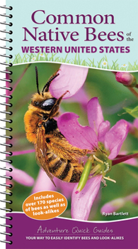 Spiral-bound Common Native Bees of the Western United States: Your Way to Easily Identify Bees and Look-Alikes Book