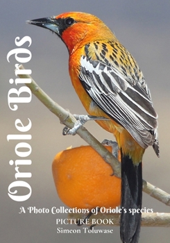 Paperback Oriole Birds Picture Book A Photo Collections of Oriole's species Book