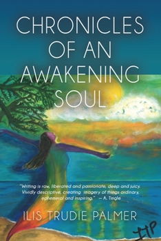 Paperback Chronicles of an Awakening Soul Book