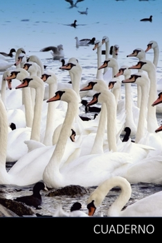 Cuaderno: Cuaderno Cisne, Cisne Libro, El Libro De Niños Cisne Cuaderno / Diario / Libro de escritura / Notas - 6 x 9 pulgadas (15.24 x 22.86 cm), 150 páginas, superficie brillante. (Spanish Edition)