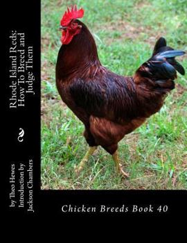 Paperback Rhode Island Reds: How To Breed and Judge Them: Chicken Breeds Book 40 Book