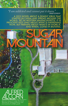 Paperback Sugar Mountain Book