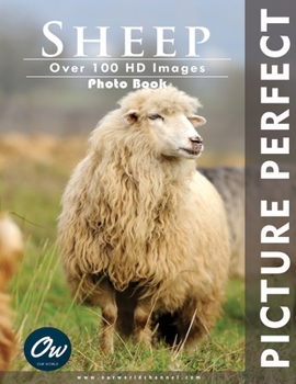 Paperback Sheep: Picture Perfect Photo Book