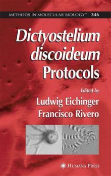 Paperback Dictyostelium Discoideum Protocols Book