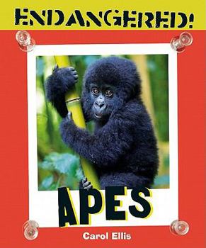 Library Binding Apes Book