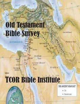 Paperback Old Testament Bible Survey Book