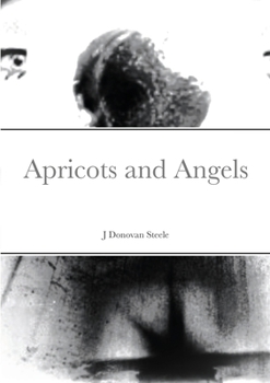 Paperback Apricots and Angels Book