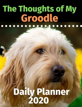 Paperback The Thoughts of My Groodle: Daily Planner 2020 Book