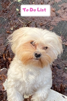 Paperback To do list: 100 page to do list with tick box to check when task has been completed. Handy 6x9 size Book