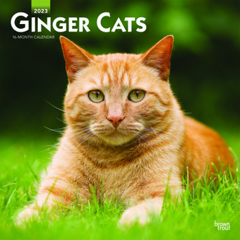 Calendar Ginger Cats 2023 Square Book