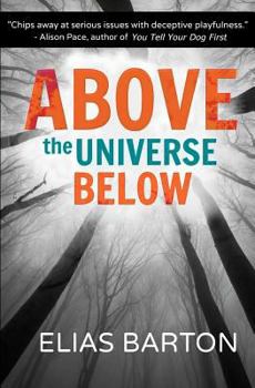 Paperback Above the Universe Below Book