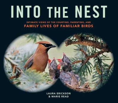 Paperback Into the Nest: Intimate Views of the Courting, Parenting, and Family Lives of Familiar Birds Book