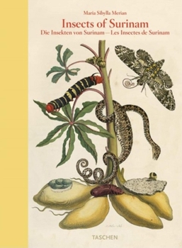 Hardcover Insects of Surinam/Die Insekten Surinams/Les Insectes de Surinam: Metamorphosis Insectorum Surinamensium 1705 Book