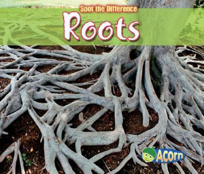 Paperback Roots (Spot the Difference) Book