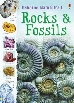 Paperback Rocks & Fossils Book