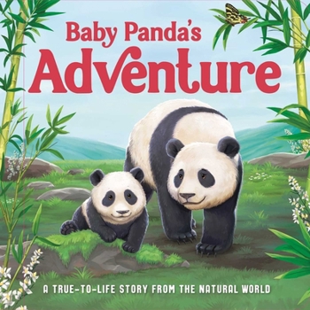 Board book Baby Panda's Adventure: A True-To-Life Story from the Natural World, Ages 5 & Up Book