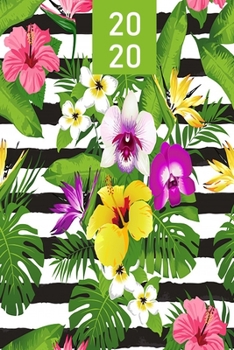 2020: Schüler Kalender für das Jahr 2020 (German Edition)