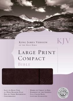 Imitation Leather Large Print Compact Bible-KJV-Magnetic Flap [Large Print] Book