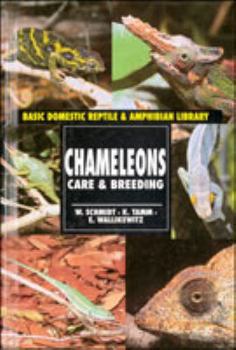 Library Binding Chameleons: Care & Breeding (Reptiles) Book