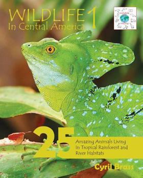 Paperback Wildlife In Central America 1: 25 Amazing Animals Living in Tropical Rainforest and River Habitats Book