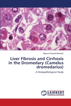 Paperback Liver Fibrosis and Cirrhosis in the Dromedary (Camelus dromedarius) Book